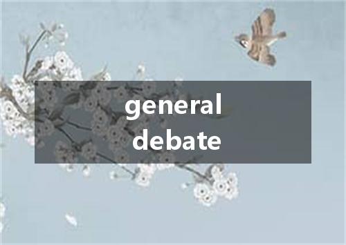 general debate是什么意思