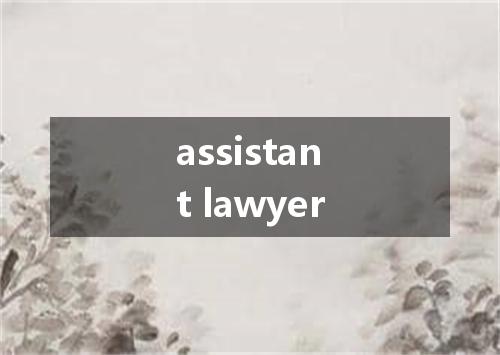 assistant lawyer是什么意思