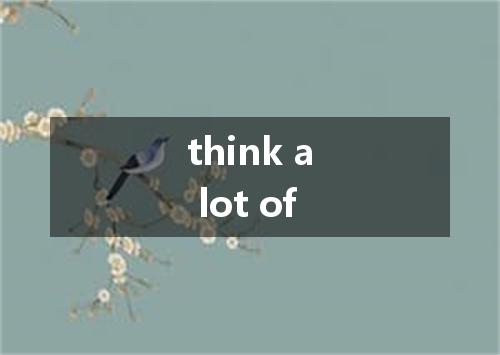 think a lot of是什么意思