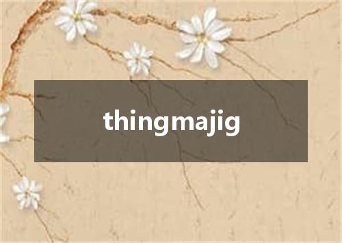 thingmajig是什么意思