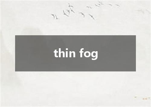 thin fog是什么意思