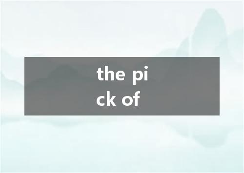 the pick of是什么意思