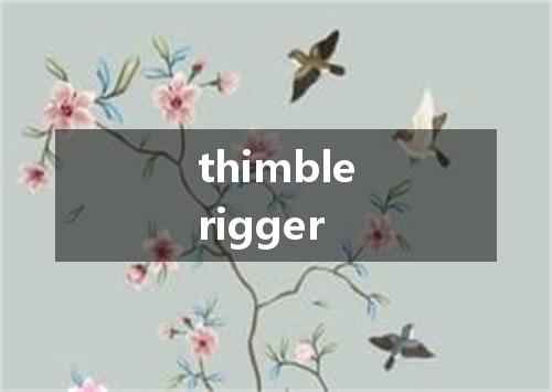 thimblerigger是什么意思