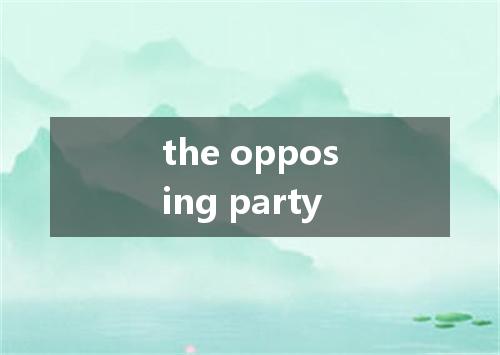 the opposing party是什么意思
