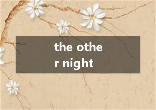 the other night是什么意思