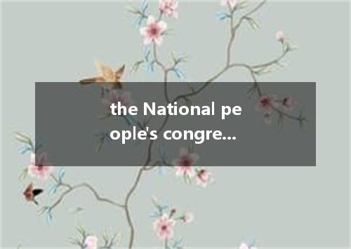 the National people's congress是什么意思