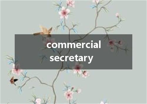 commercial secretary是什么意思