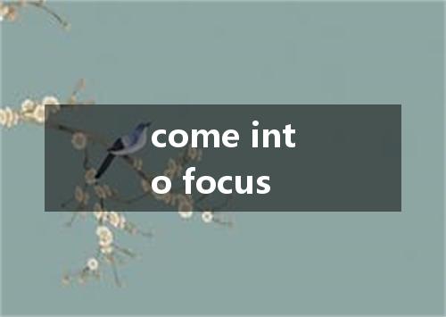 come into focus是什么意思
