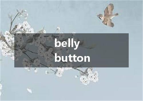 belly button是什么意思