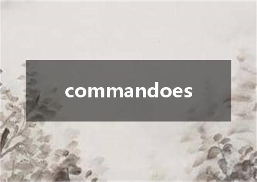 commandoes是什么意思