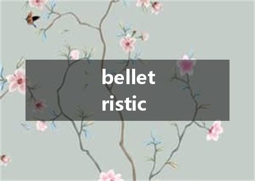belletristic是什么意思