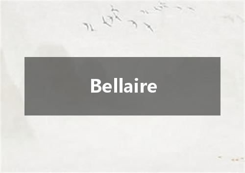 Bellaire是什么意思