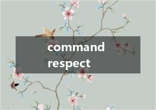 command respect是什么意思