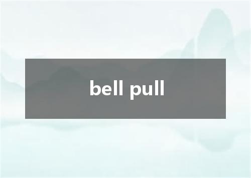 bell pull是什么意思
