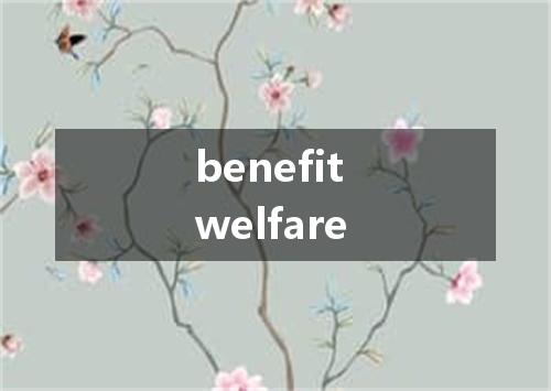benefit welfare是什么意思