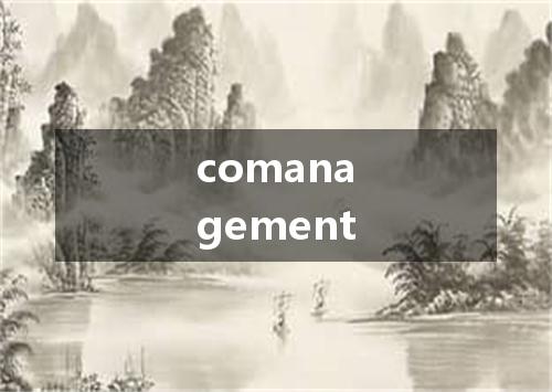 comanagement是什么意思