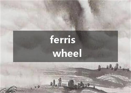 ferris wheel是什么意思