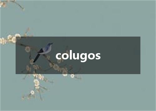 colugos是什么意思