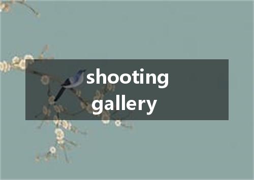 shooting gallery是什么意思