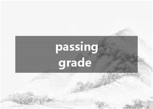 passing grade是什么意思