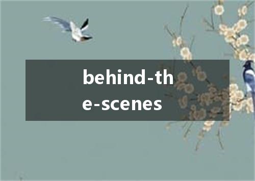 behind-the-scenes是什么意思