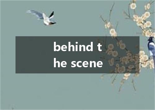 behind the scene是什么意思