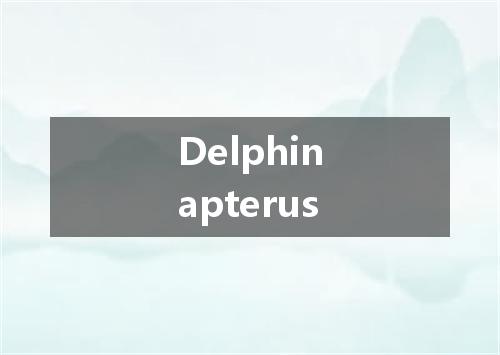 Delphinapterus是什么意思