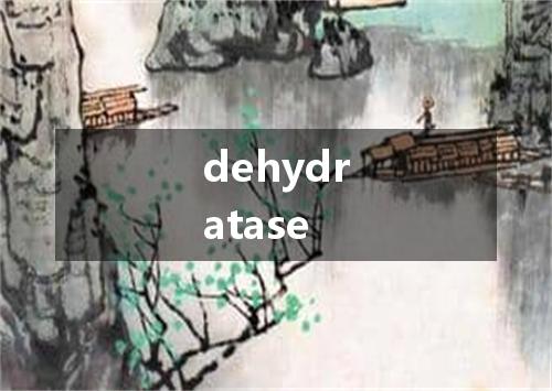 dehydratase是什么意思
