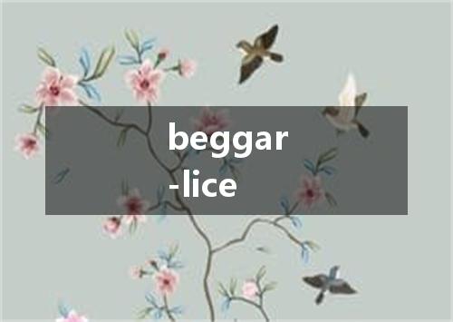 beggar-lice是什么意思