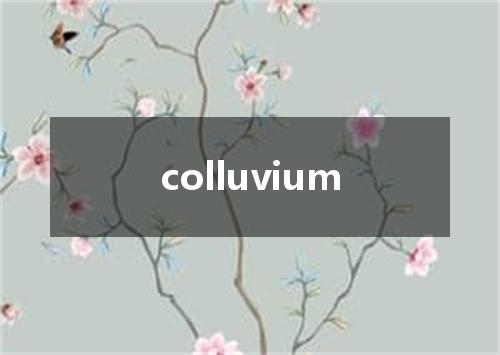 colluvium是什么意思