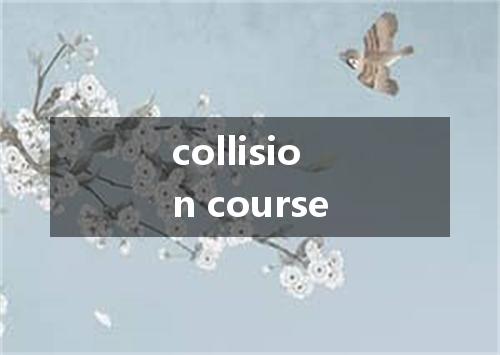 collision course是什么意思