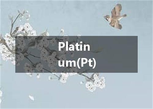 Platinum(Pt)是什么意思