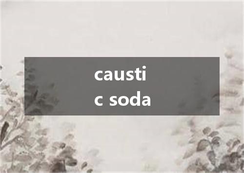 caustic soda是什么意思