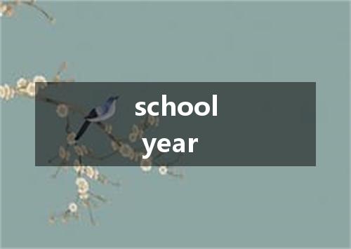 school year是什么意思