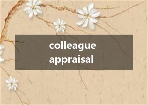 colleague appraisal是什么意思