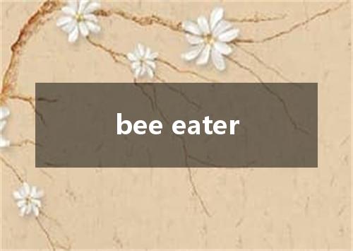 bee eater是什么意思
