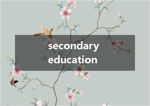 secondary education是什么意思