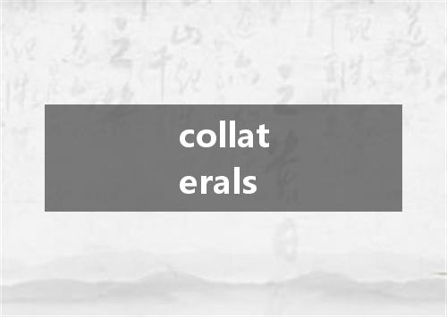 collaterals是什么意思