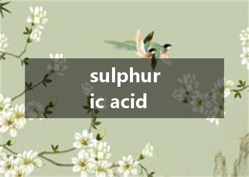 sulphuric acid是什么意思