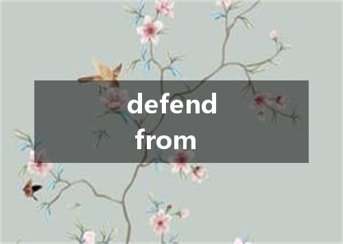 defend from是什么意思