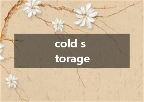 cold storage是什么意思
