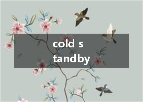 cold standby是什么意思