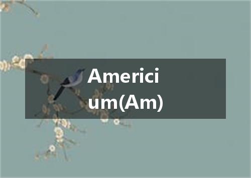 Americium(Am)是什么意思