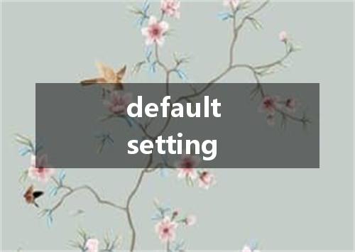 default setting是什么意思