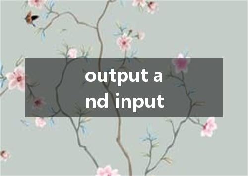 output and input是什么意思