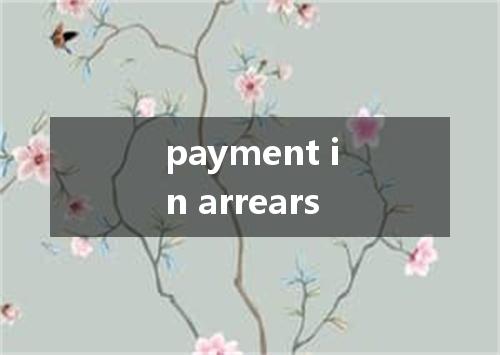 payment in arrears是什么意思