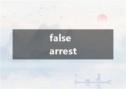 false arrest是什么意思
