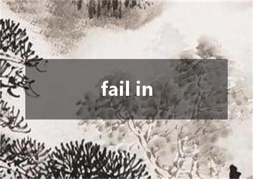 fail in是什么意思