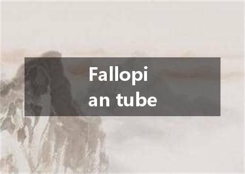 Fallopian tube是什么意思