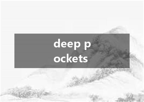 deep pockets是什么意思